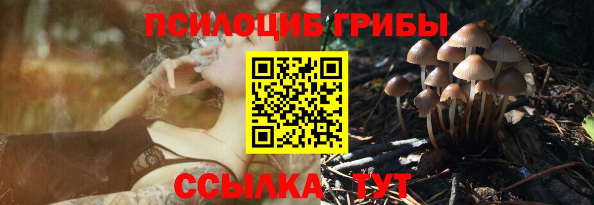 Псилоцибиновые грибы Psilocybe  Вход с VPN  Ейск  Псилоцибиновые грибы Psilocybine cubensis 